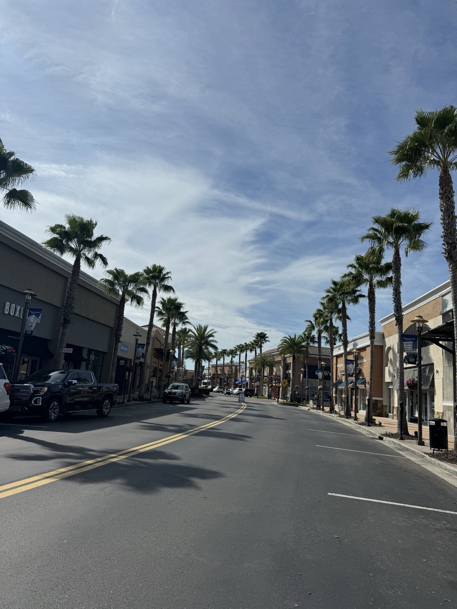 Wesley Chapel Florida Outdoor Shopping Mall a great visual of the street that travels through with palm trees lining the street